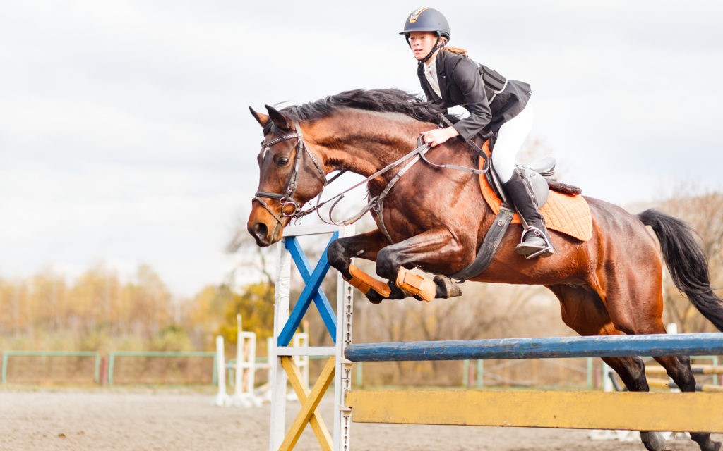 An equestrian and her horse jump over an obstacle